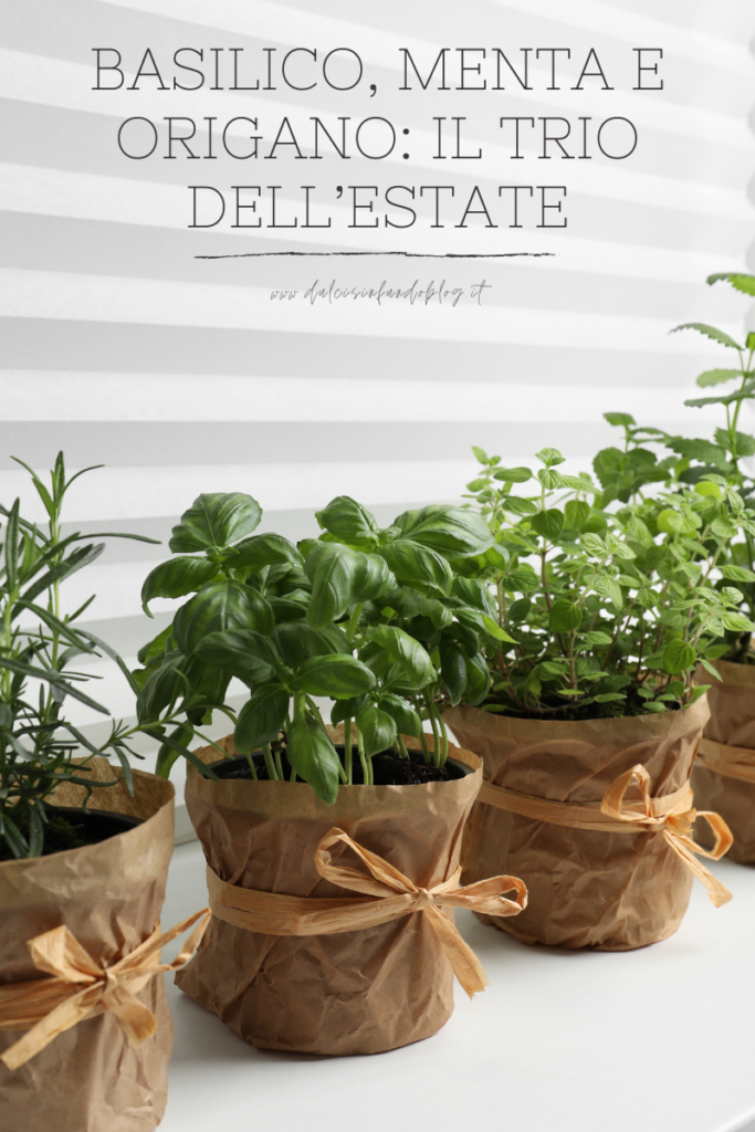 Basilico, menta e origano: il trio dell’estate