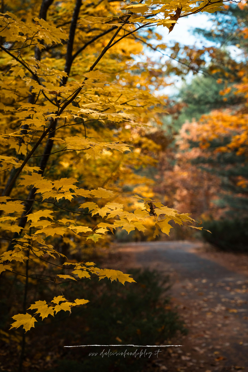 5 destinazioni per un weekend autunnale
