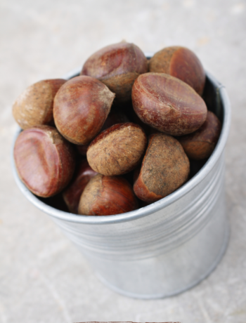Castagne: cucinarle, conservarle e riconoscerle