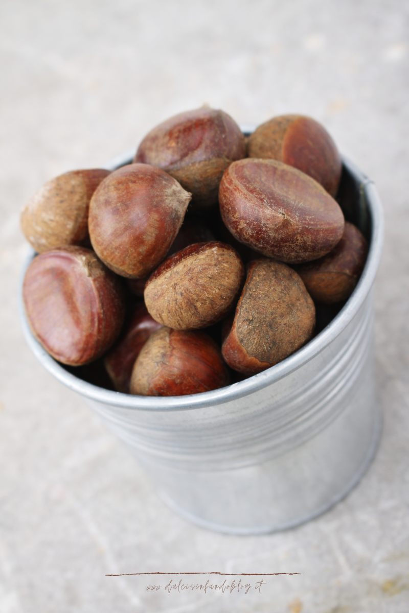 Castagne: cucinarle, conservarle e riconoscerle