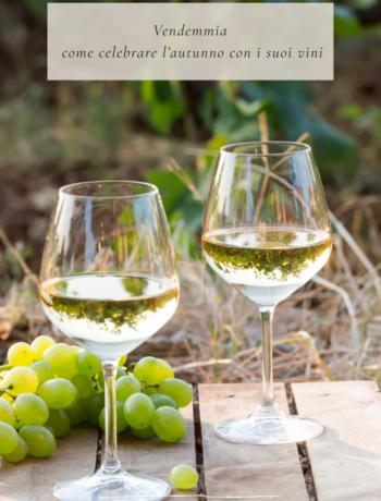 Vendemmia: come celebrare l’autunno con i suoi vini