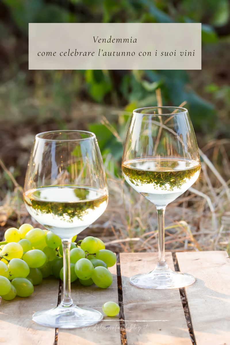 Vendemmia: come celebrare l’autunno con i suoi vini